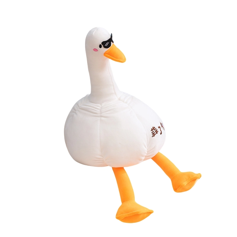 50cm