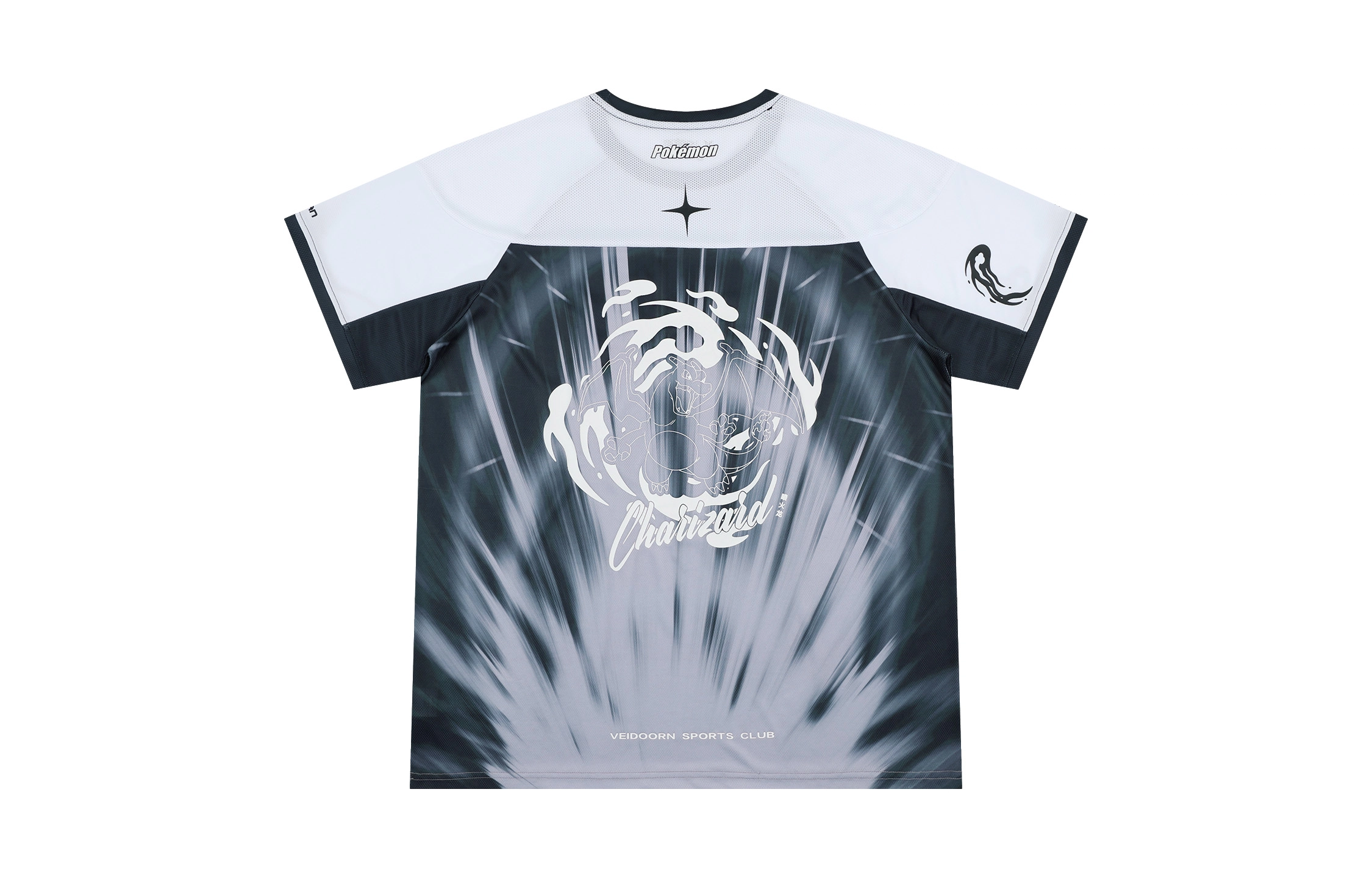 VEIDOORN x POKEMON T
