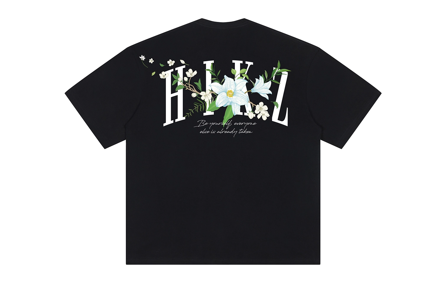 HIKZ logoT