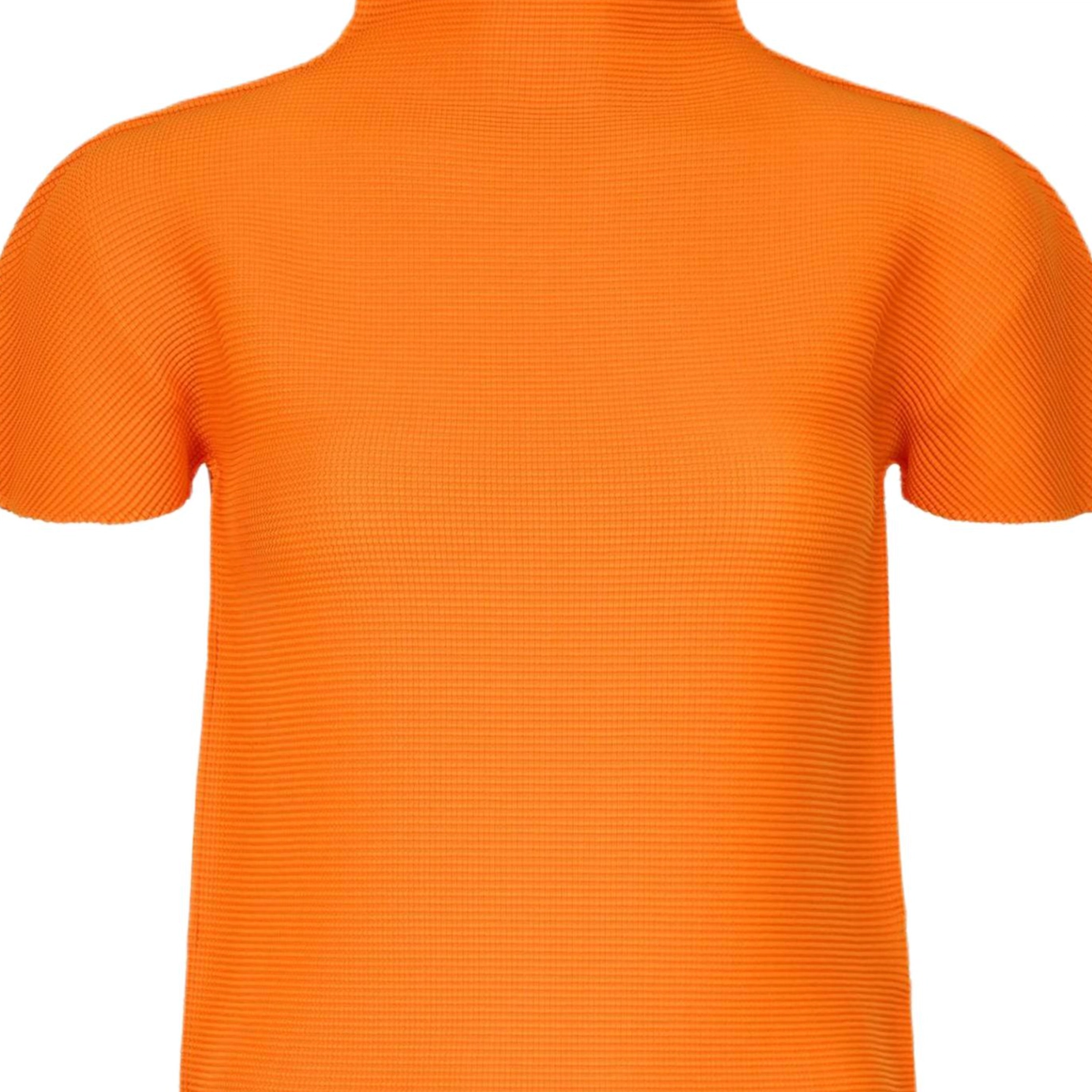 ISSEY MIYAKE T