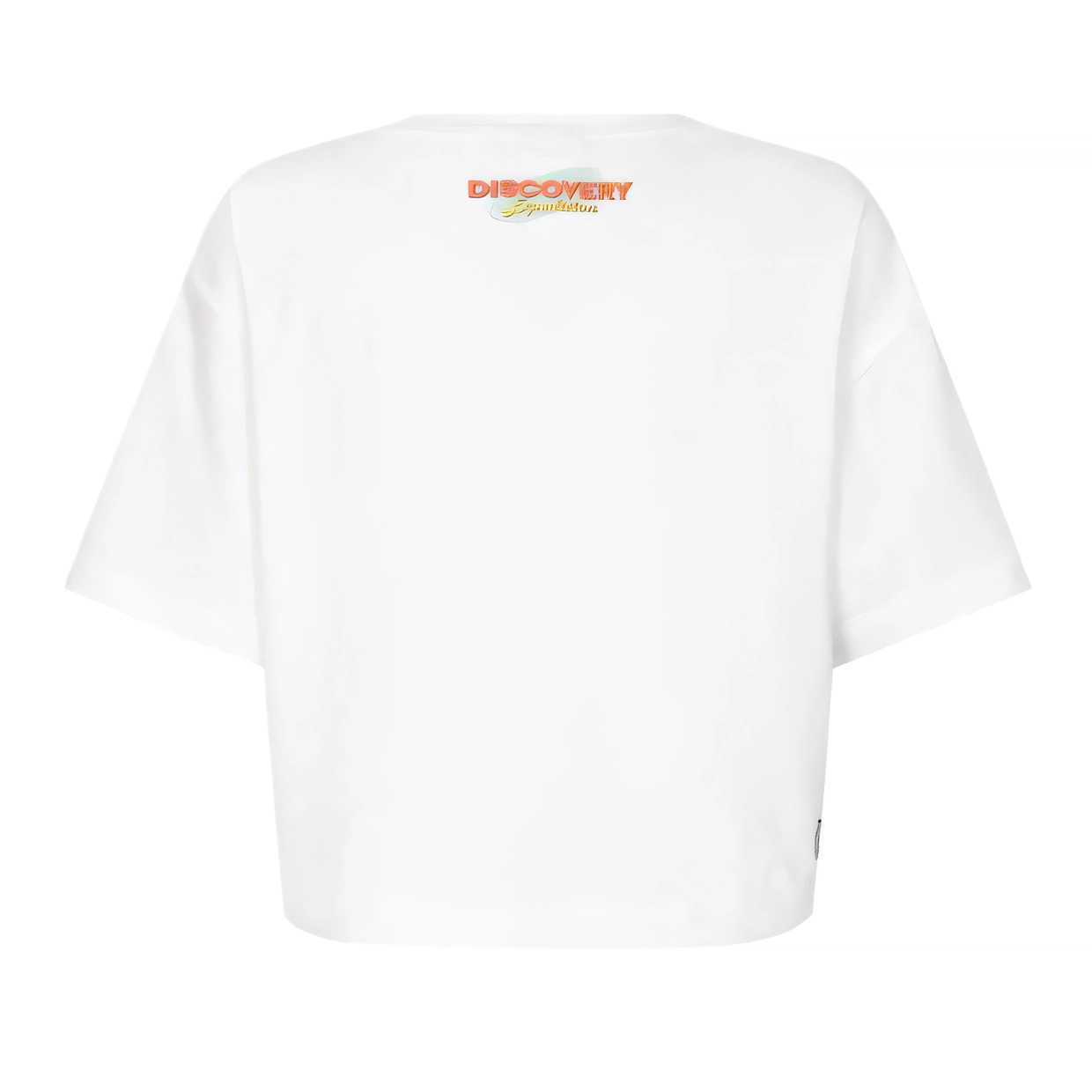 Discovery Expedition T