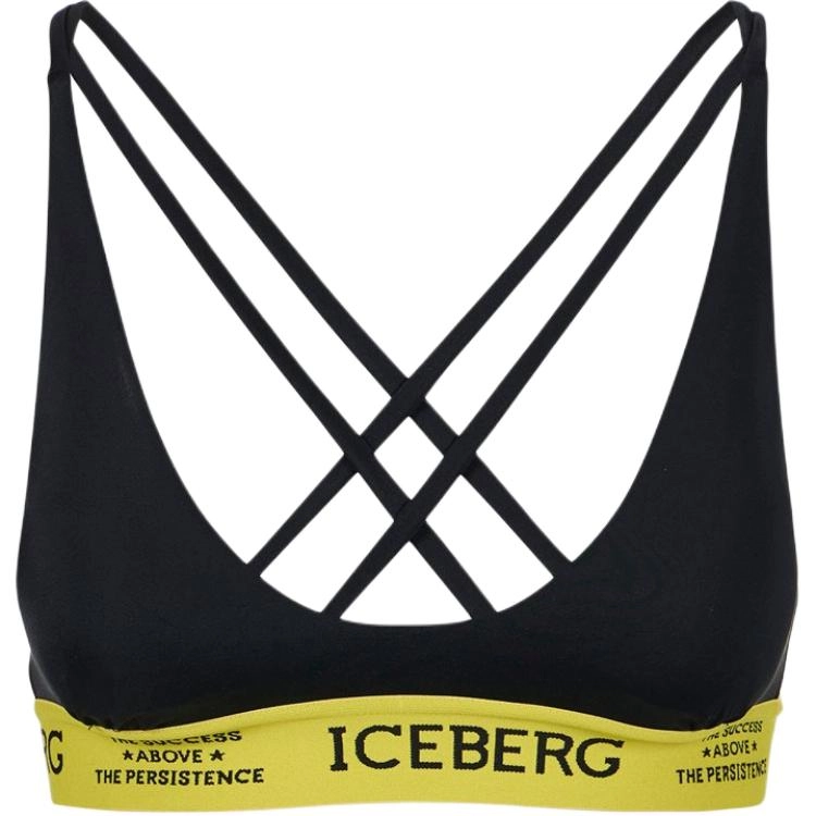 iceberg
