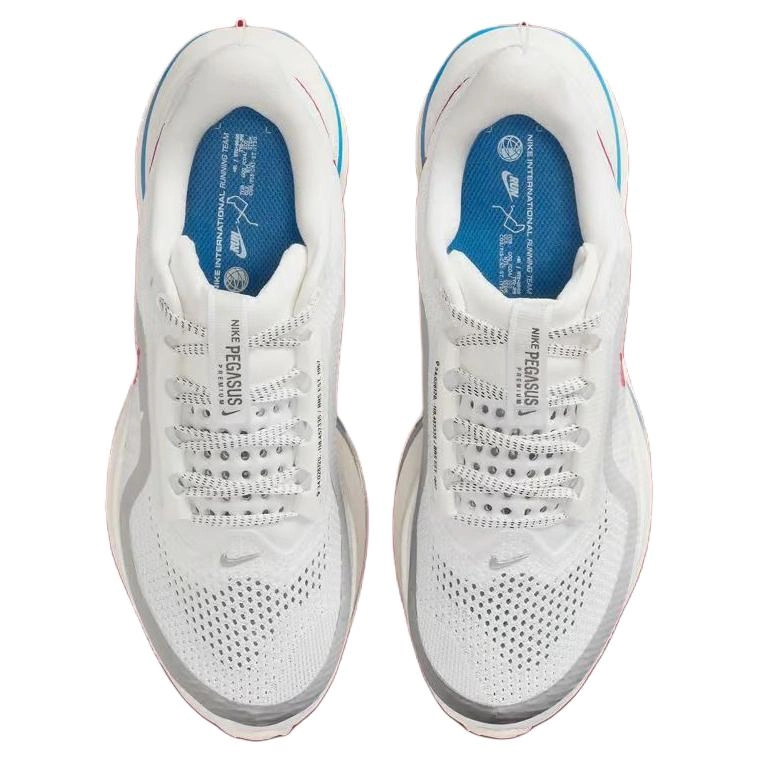 Nike Pegasus Premium Forrest Gump