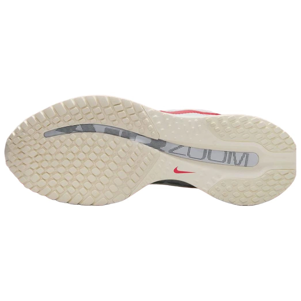 Nike Pegasus Premium Forrest Gump