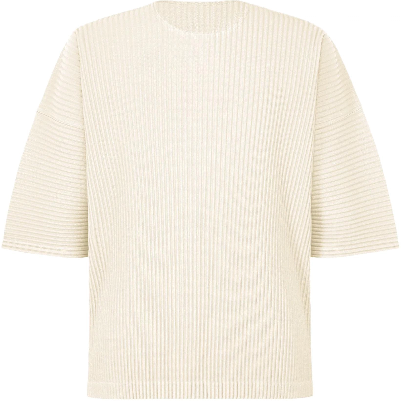 Homme Pliss Issey Miyake T