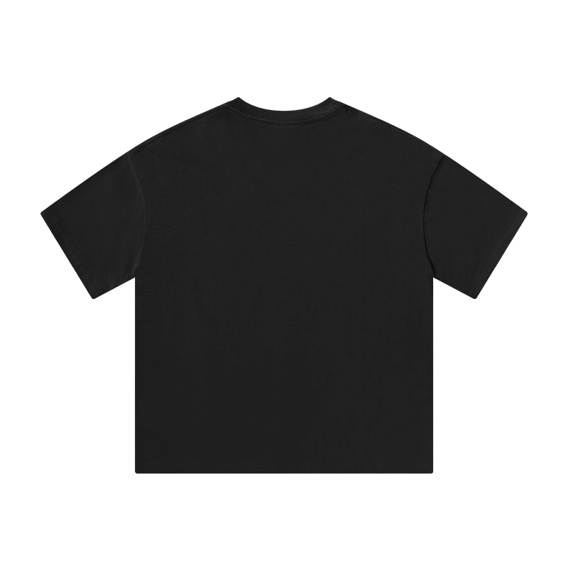DAFT PUNK 350gRT
