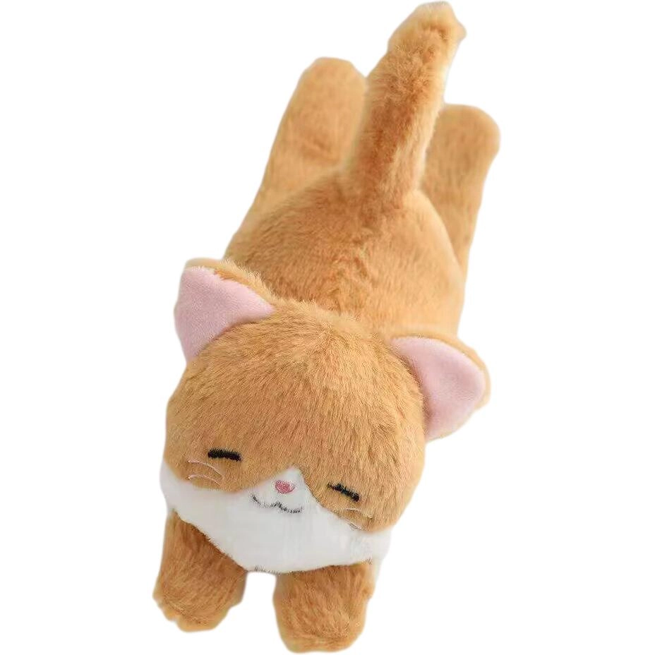 24cm