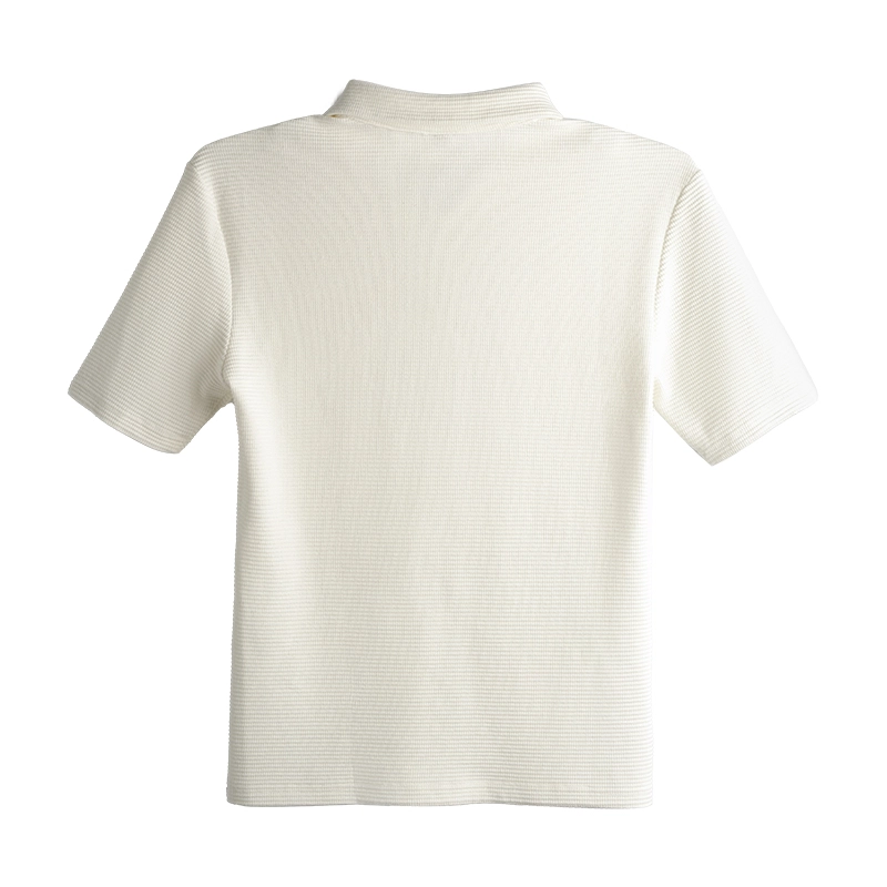 DBW DOUBLEWIN T