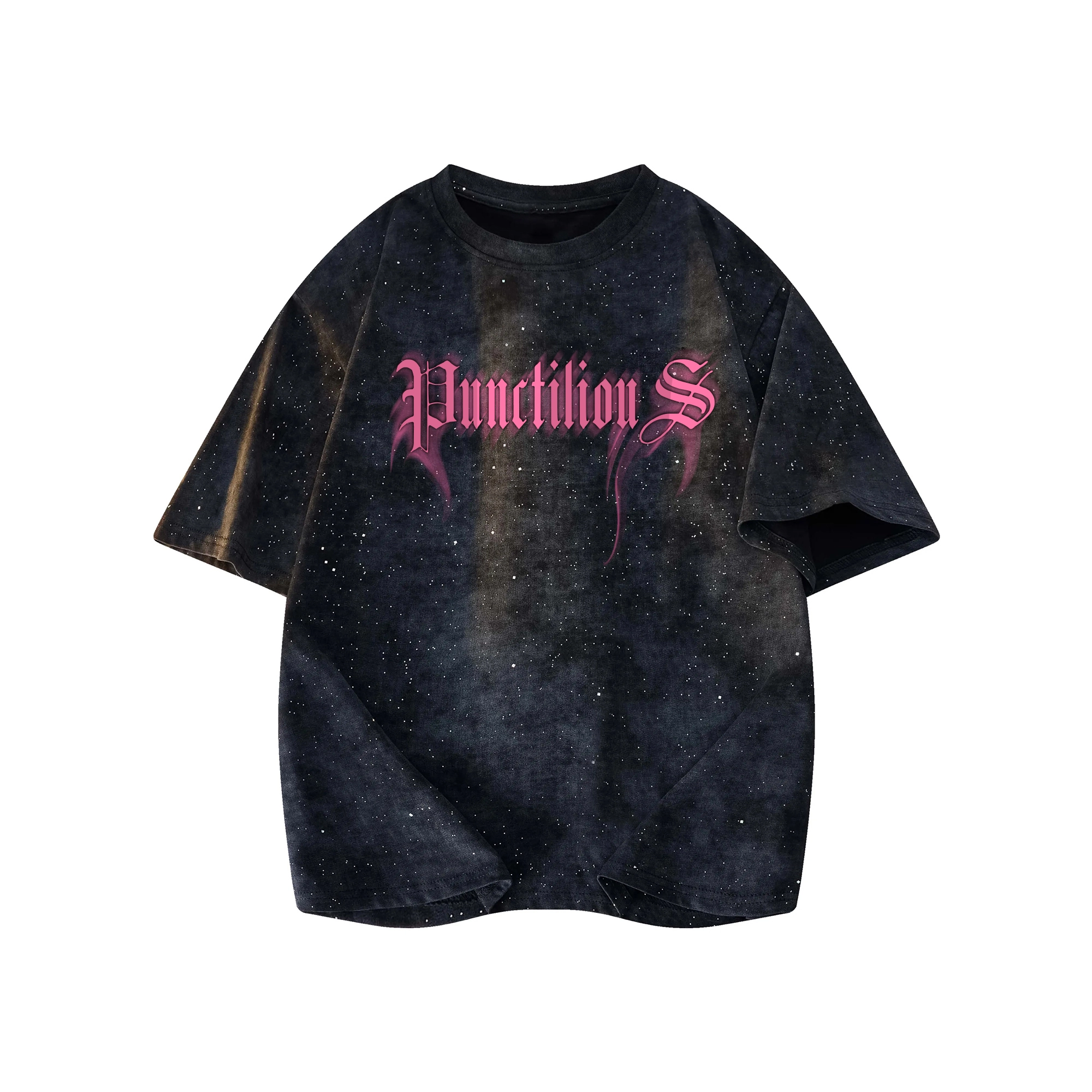 PUNCTILIOUS T