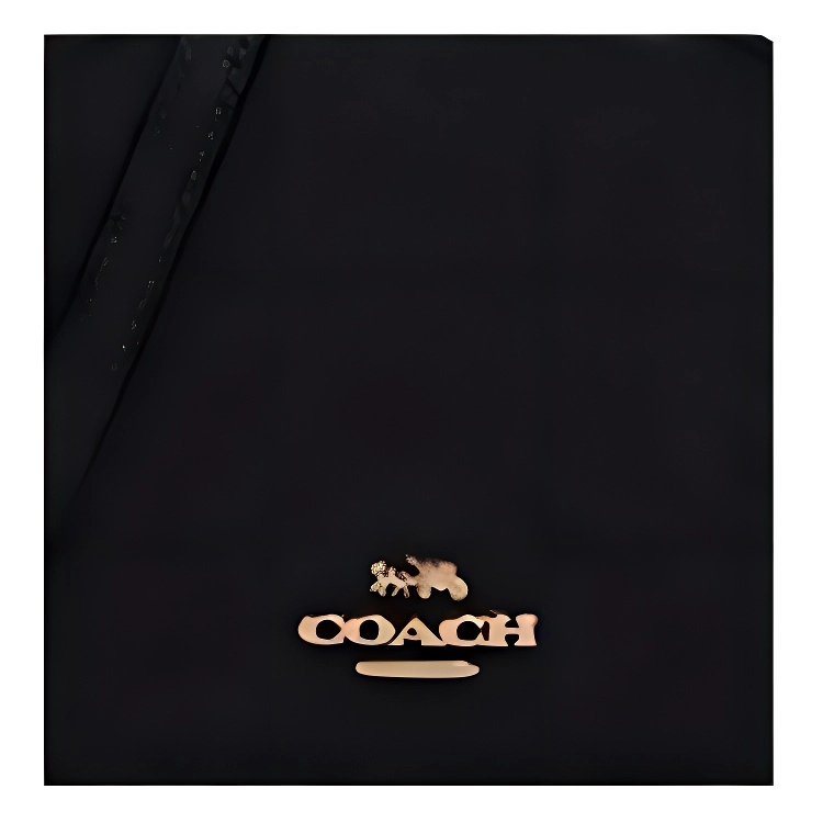 COACH Serena 16