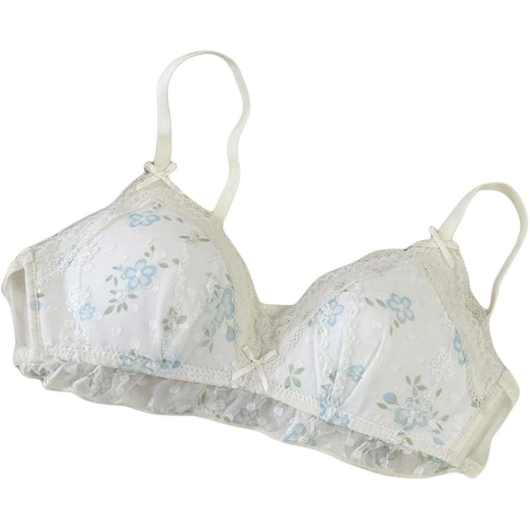 黛尔佳人 内衣女小胸聚拢无钢圈薄款夏季收副乳防下垂纯欲蕾丝胸罩文胸 女款