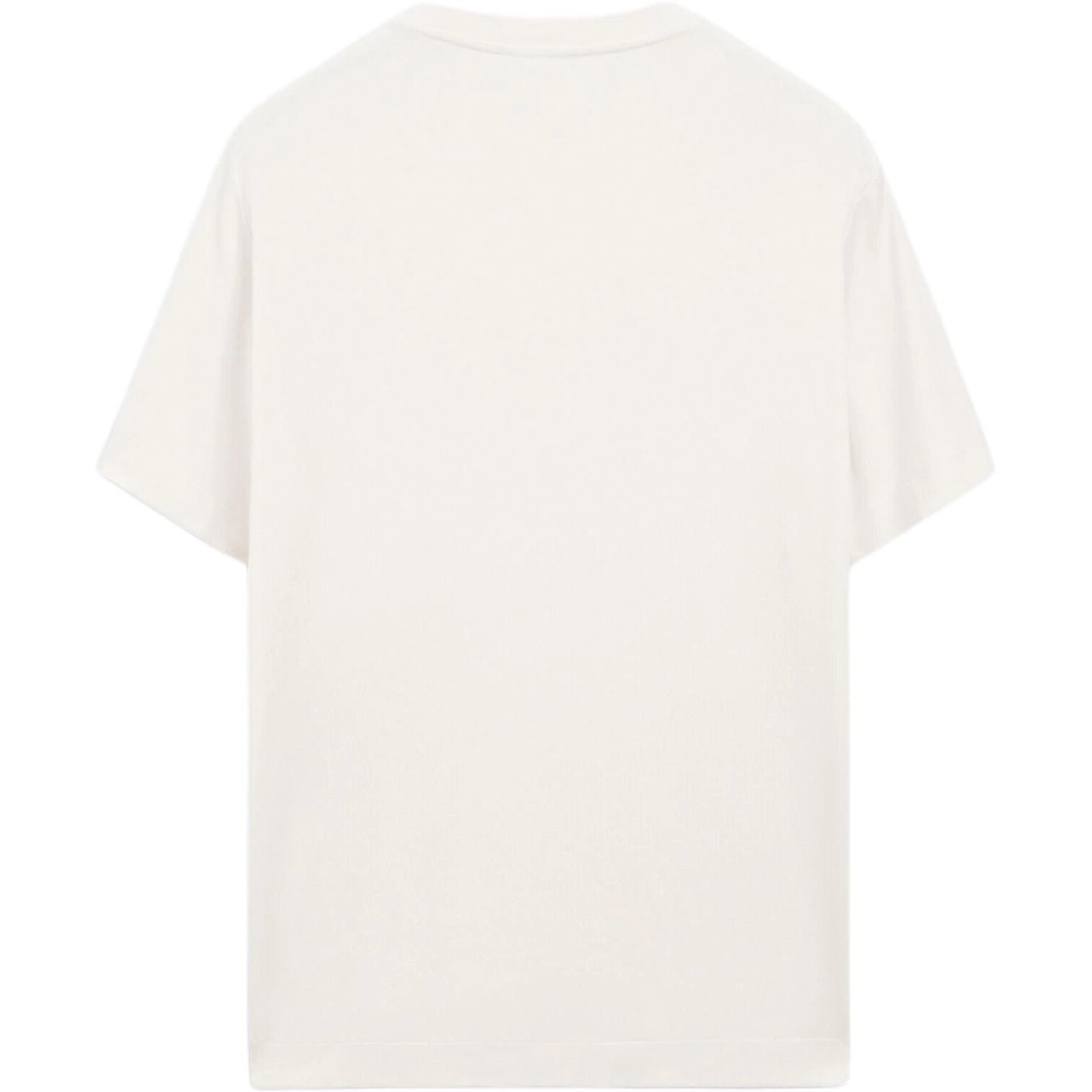 Massimo Dutti T