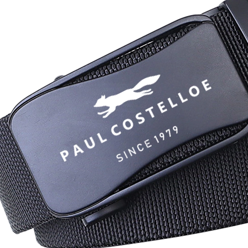 PAUL COSTELLOE 4