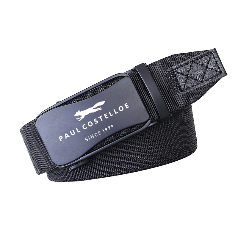 PAUL COSTELLOE 4