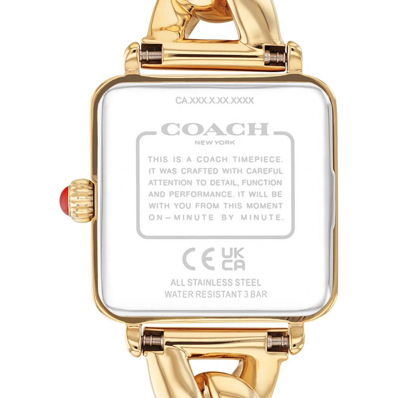 COACH Cass 30