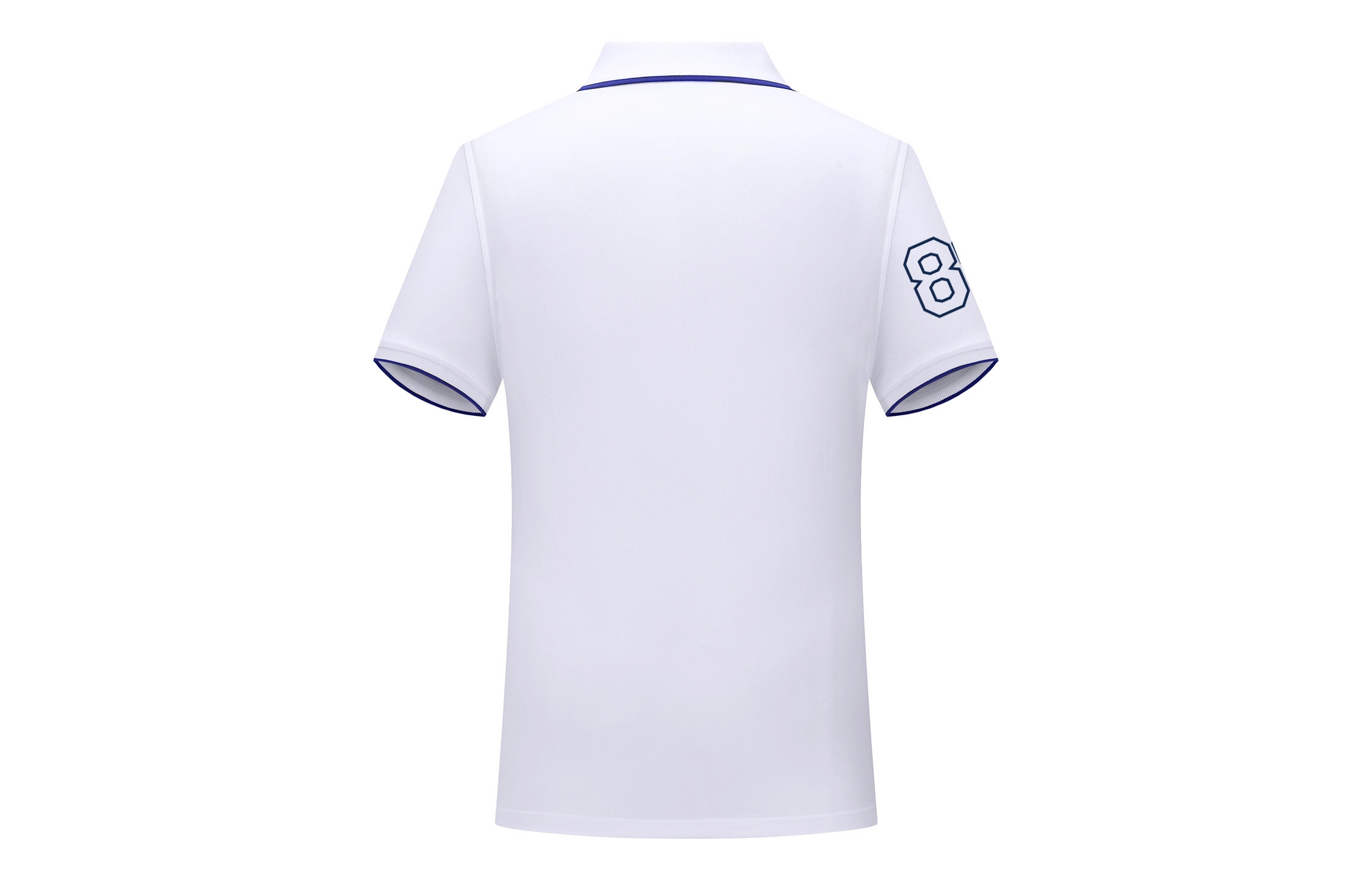 CSKS LogoPoloPOLO