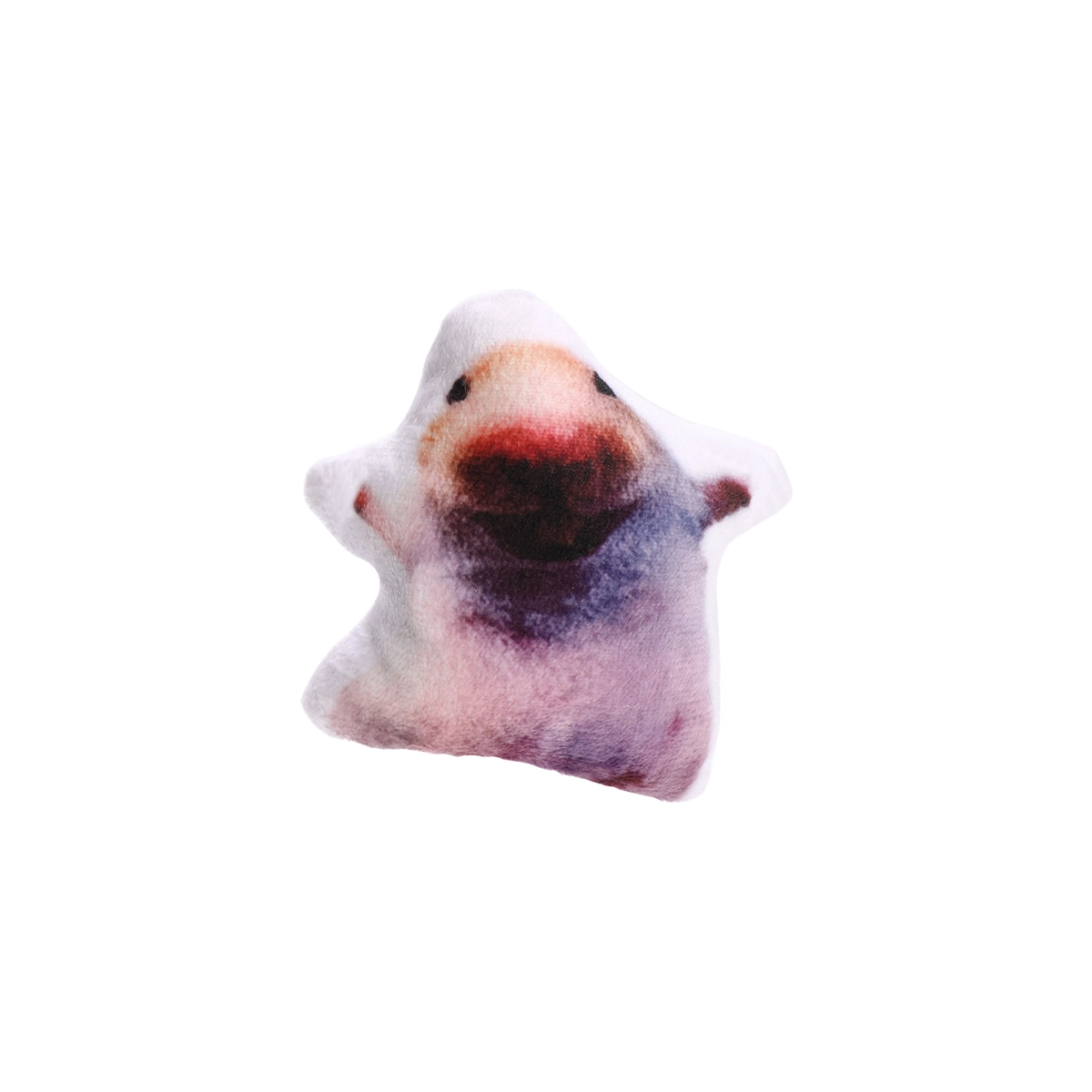 ZANC PP