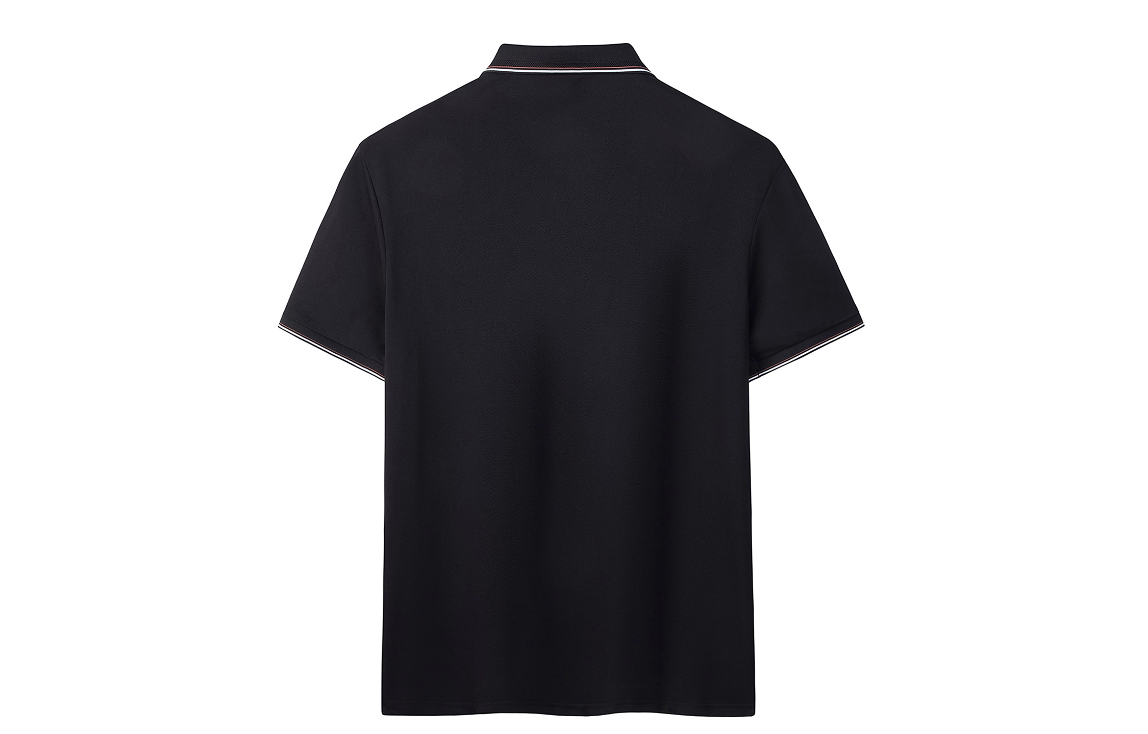 CSKS LogoPolo