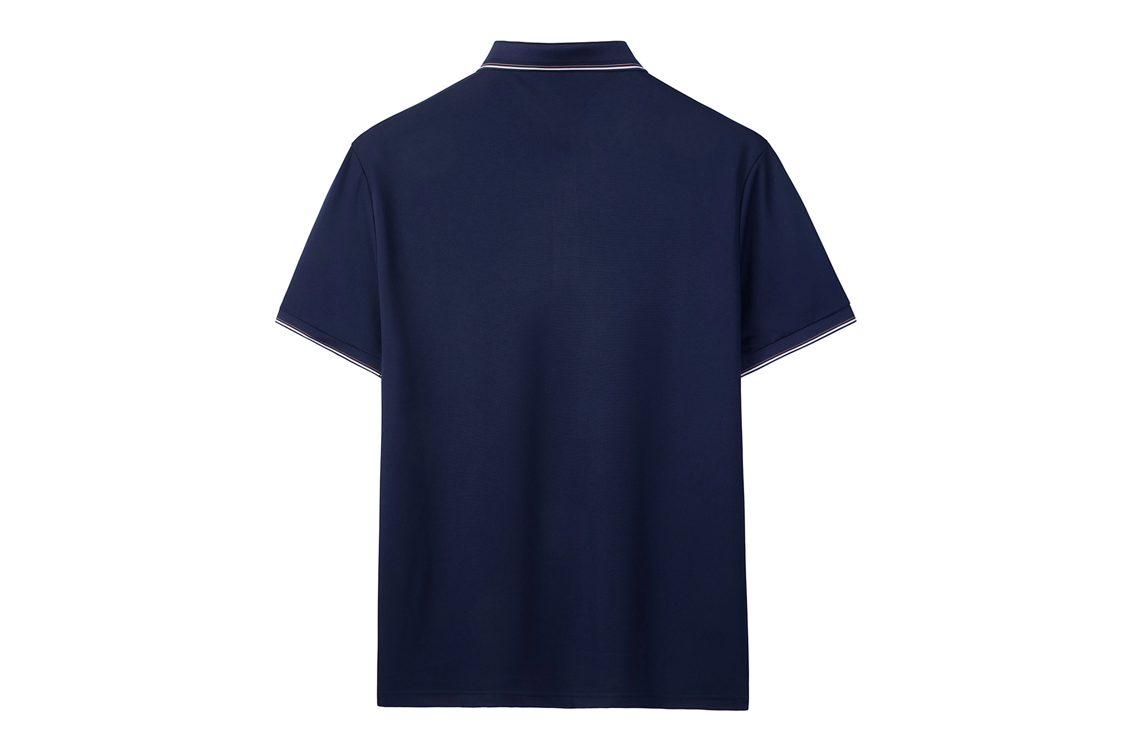 CSKS LogoPolo