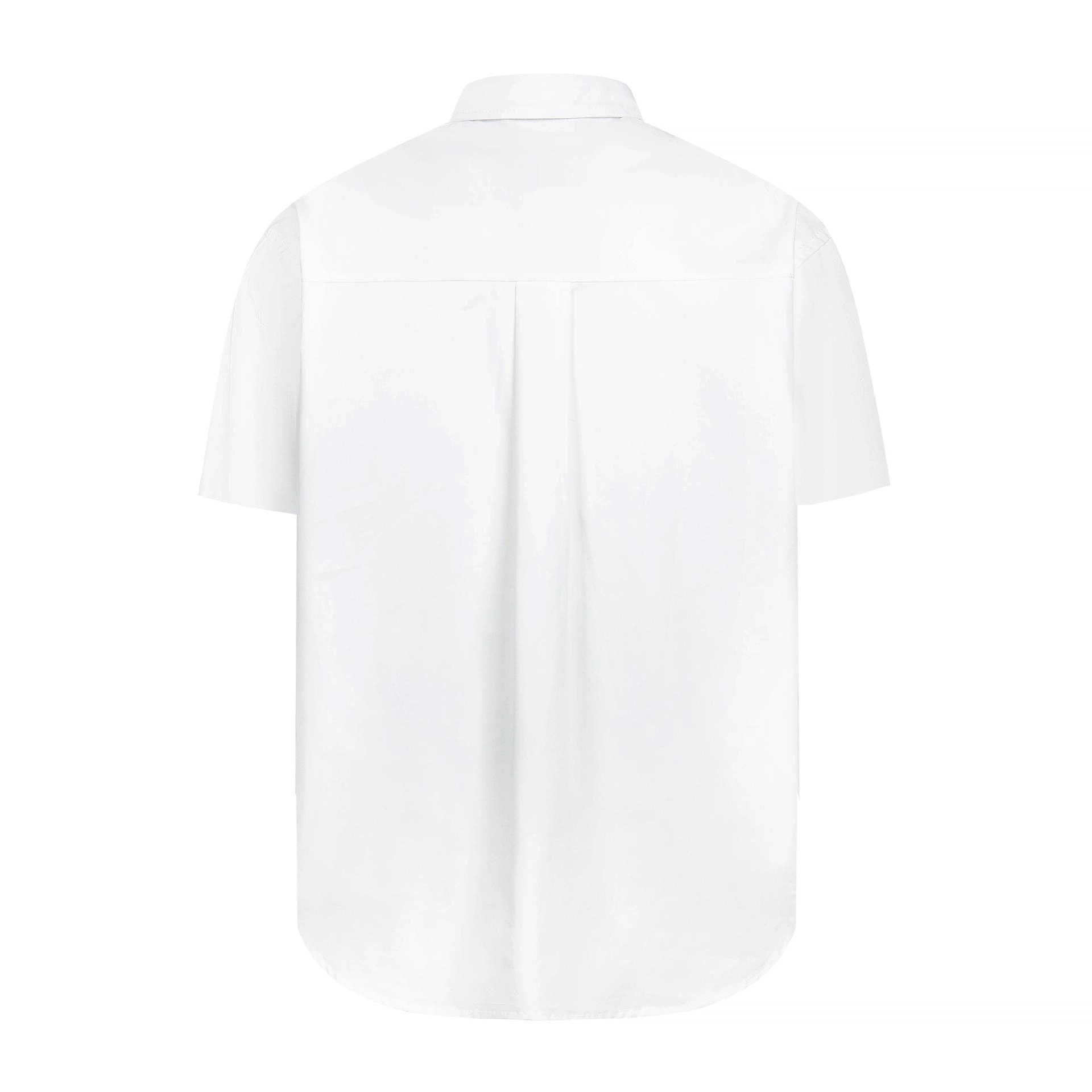 WELTER EXPERIMENT polo