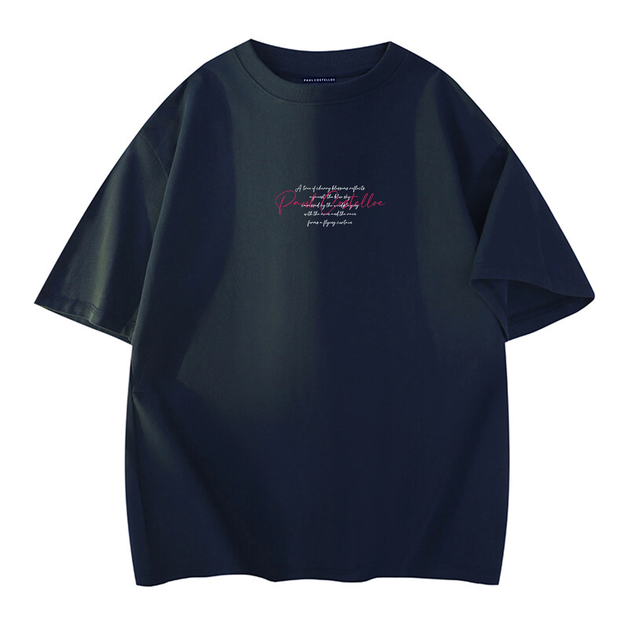 PAUL COSTELLOE logoT