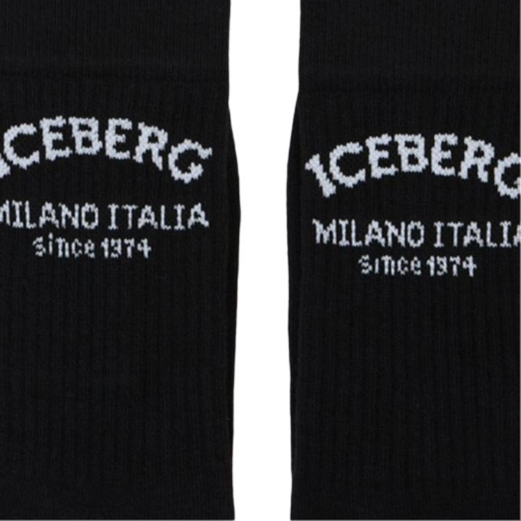 iceberg