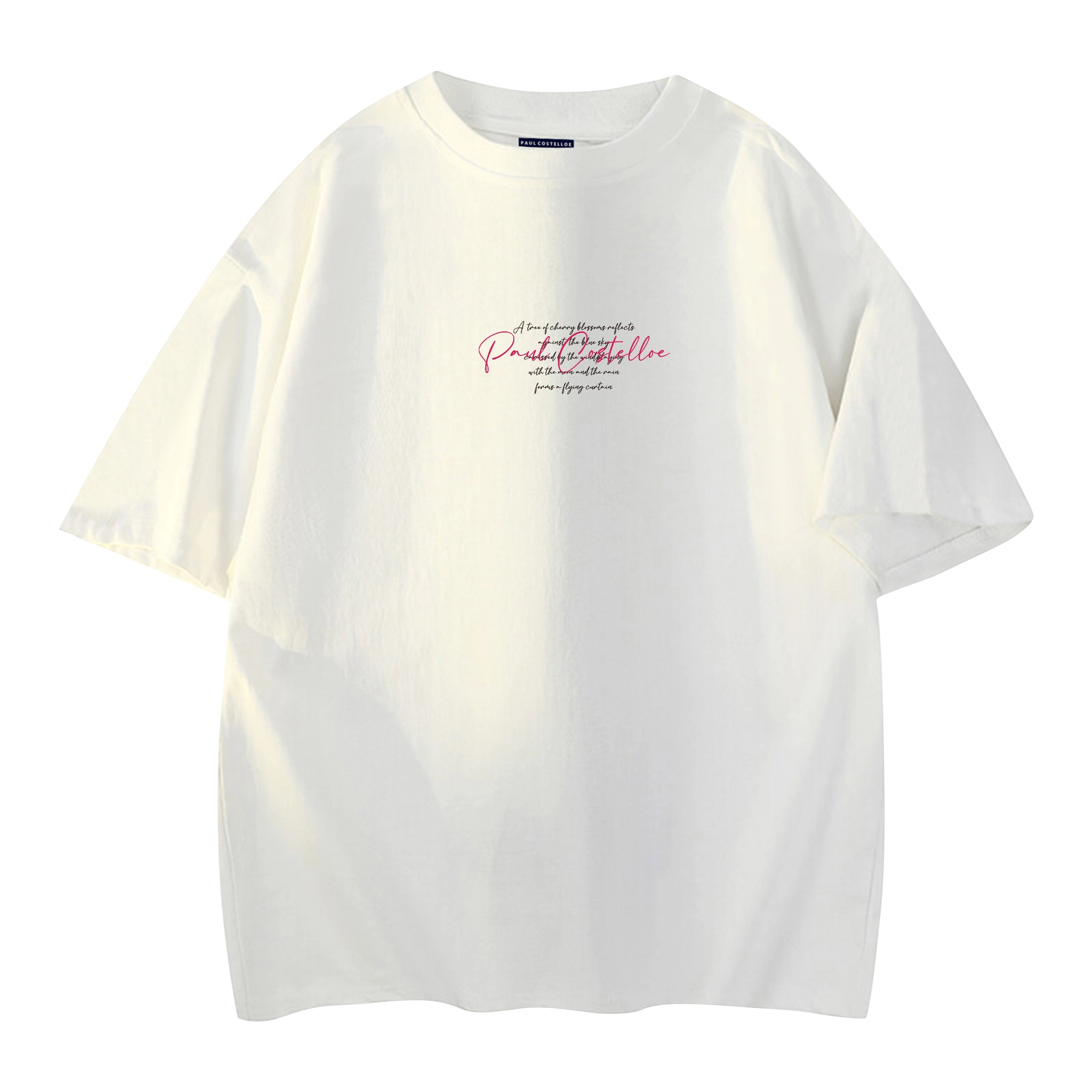 PAUL COSTELLOE logoT