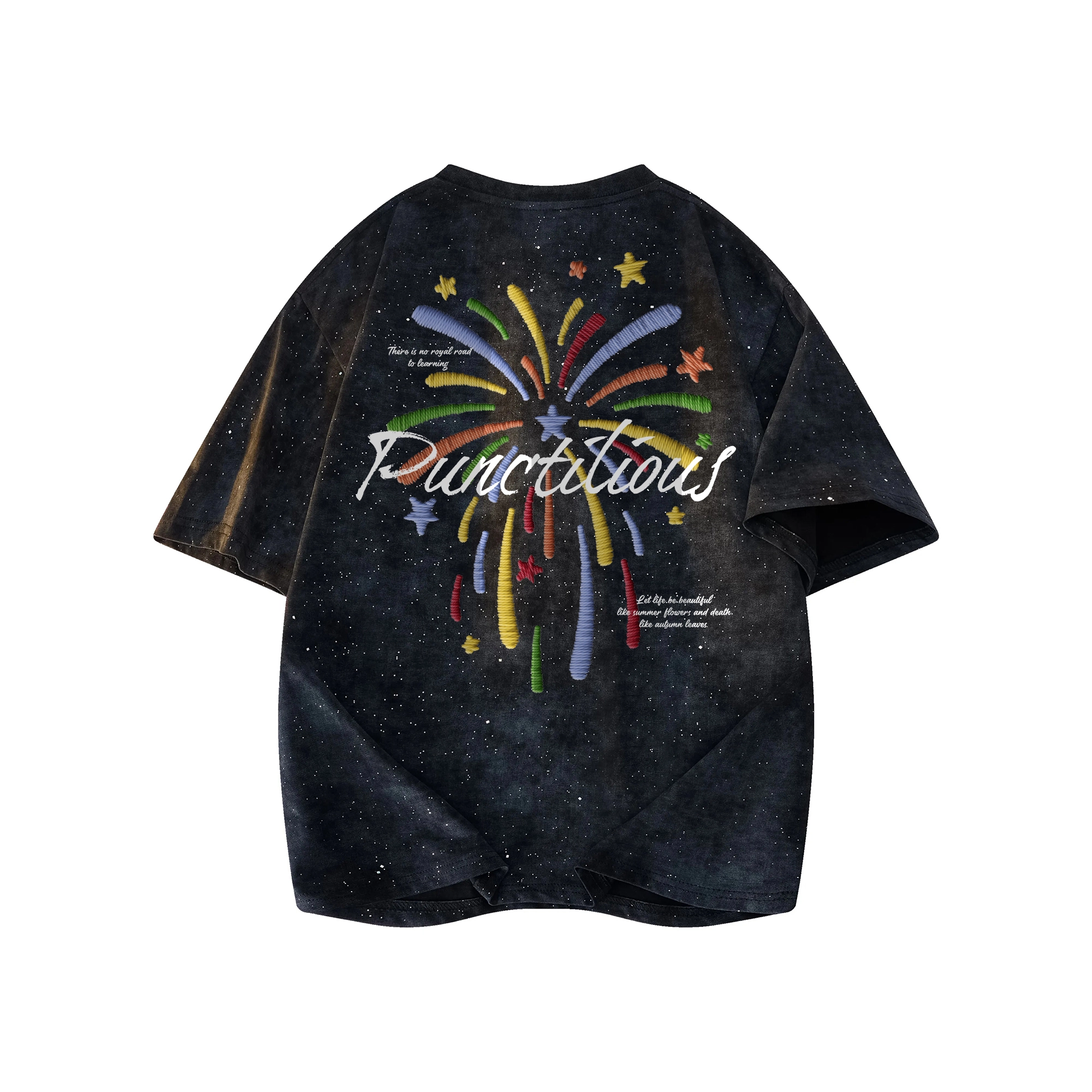 PUNCTILIOUS T