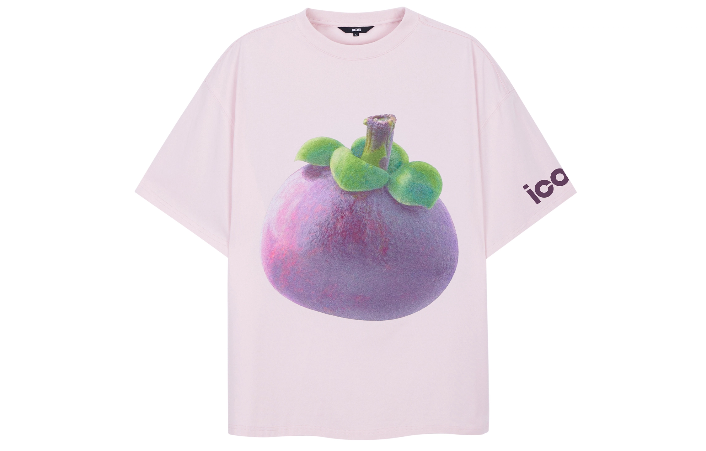 ICONS Lab T