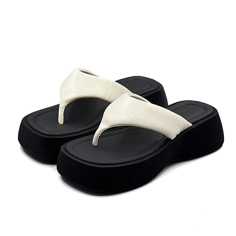 DOLIN COLLECTION