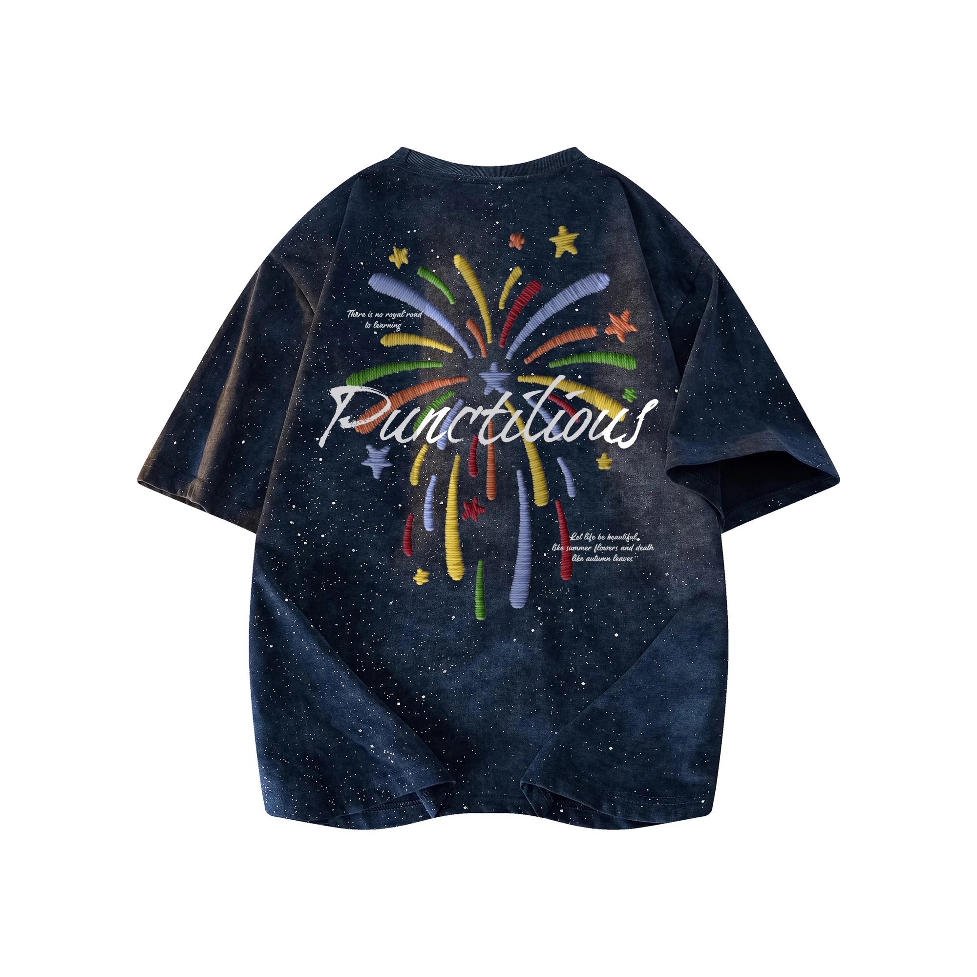 PUNCTILIOUS T