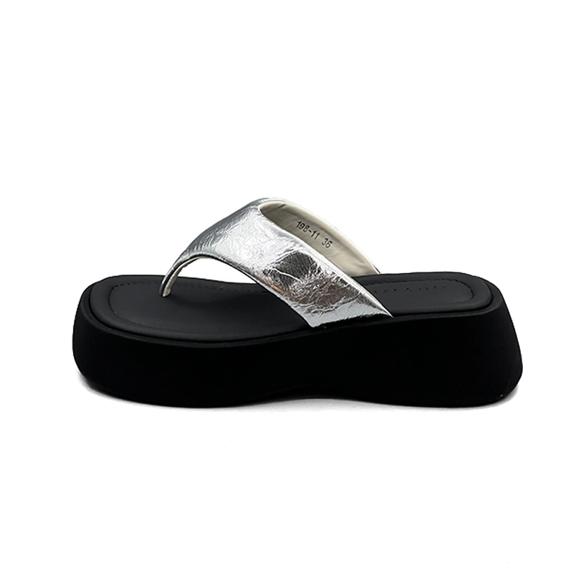DOLIN COLLECTION