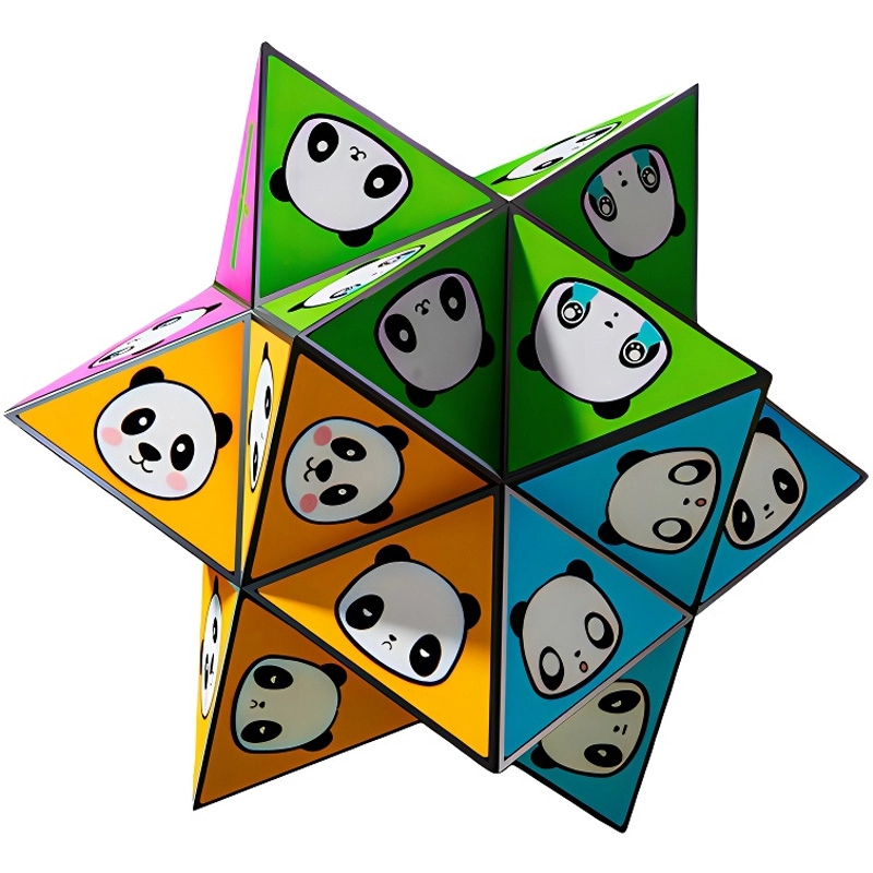 SNAEN 3D