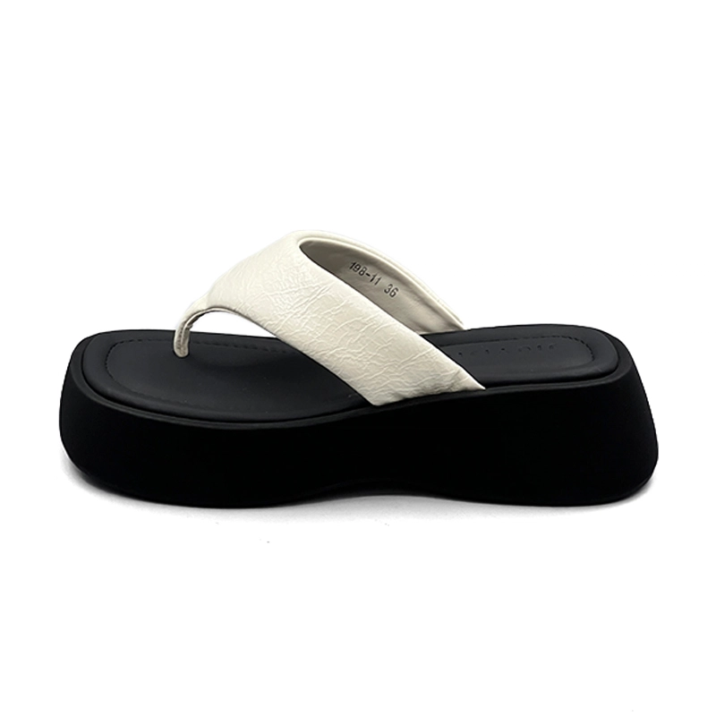 DOLIN COLLECTION