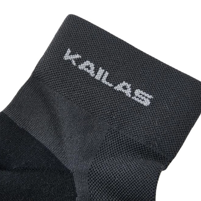 KAILAS FUGA