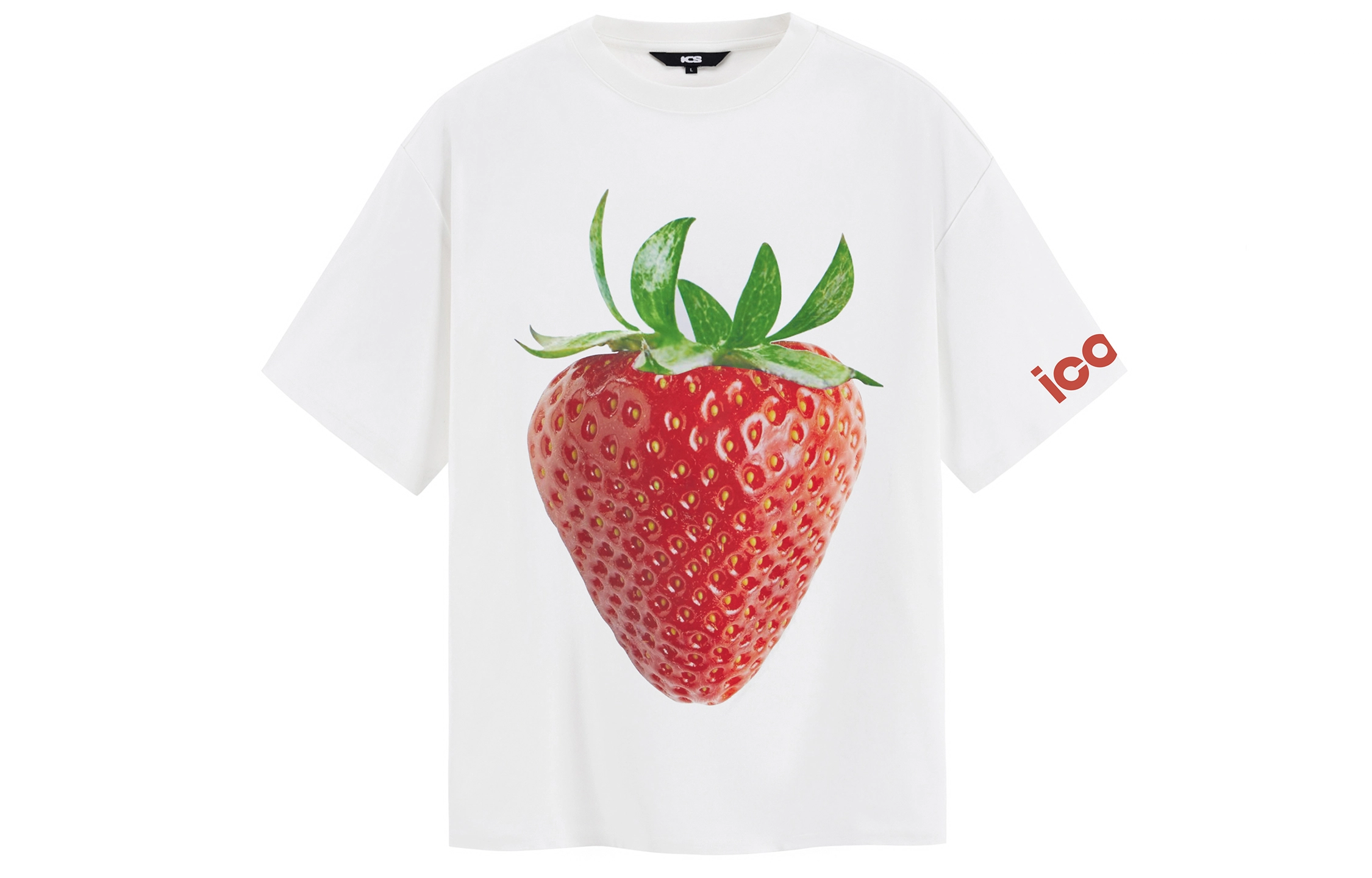 ICONS Lab T