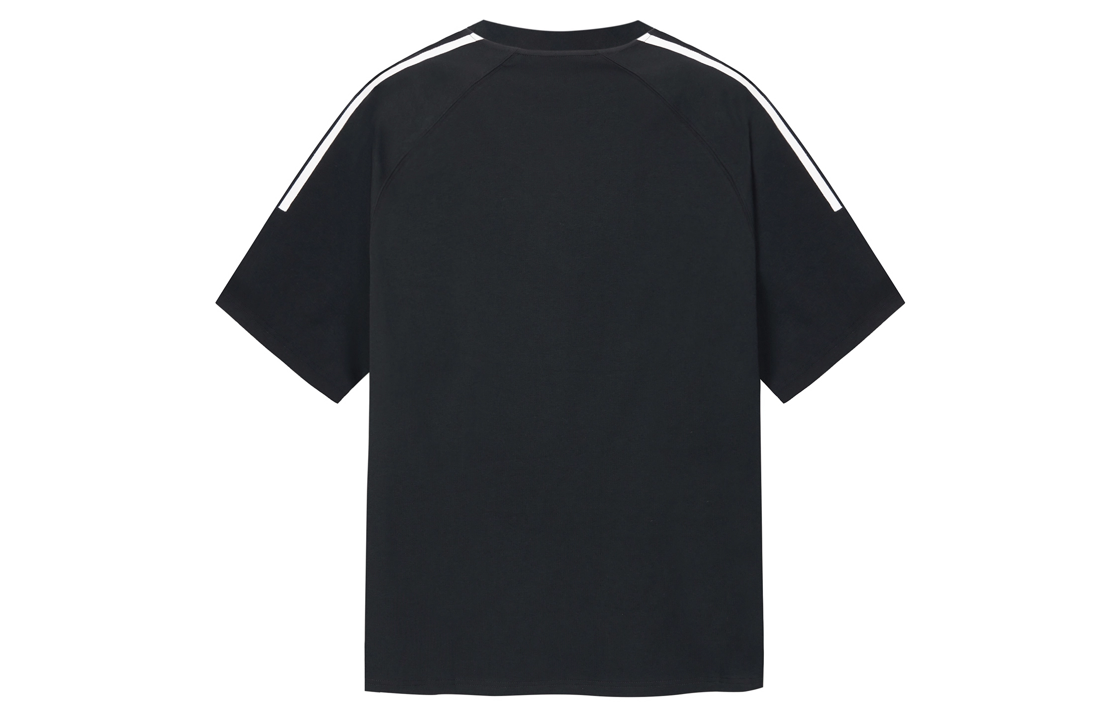 ICONS Lab T