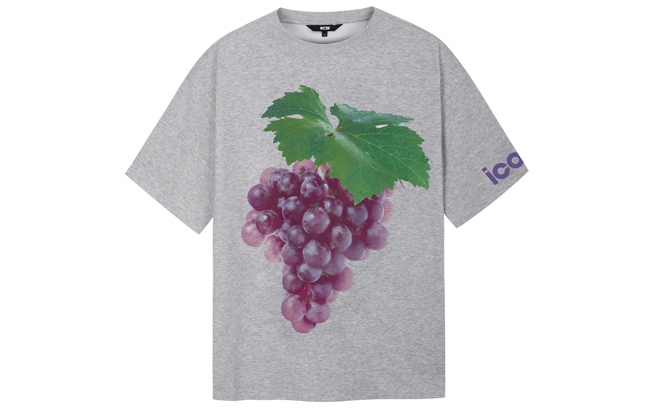 ICONS Lab T