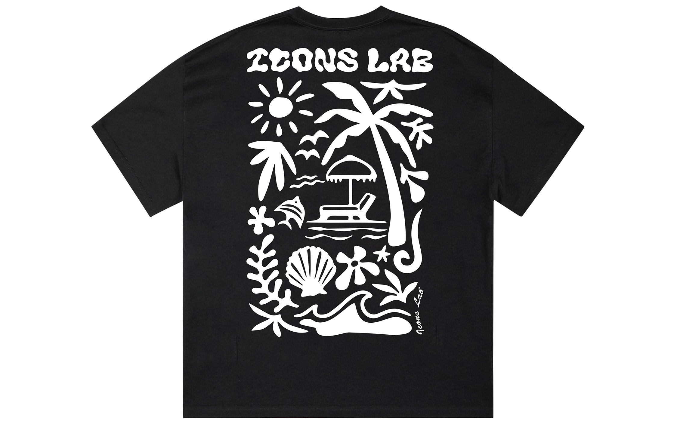 ICONS Lab ICS T