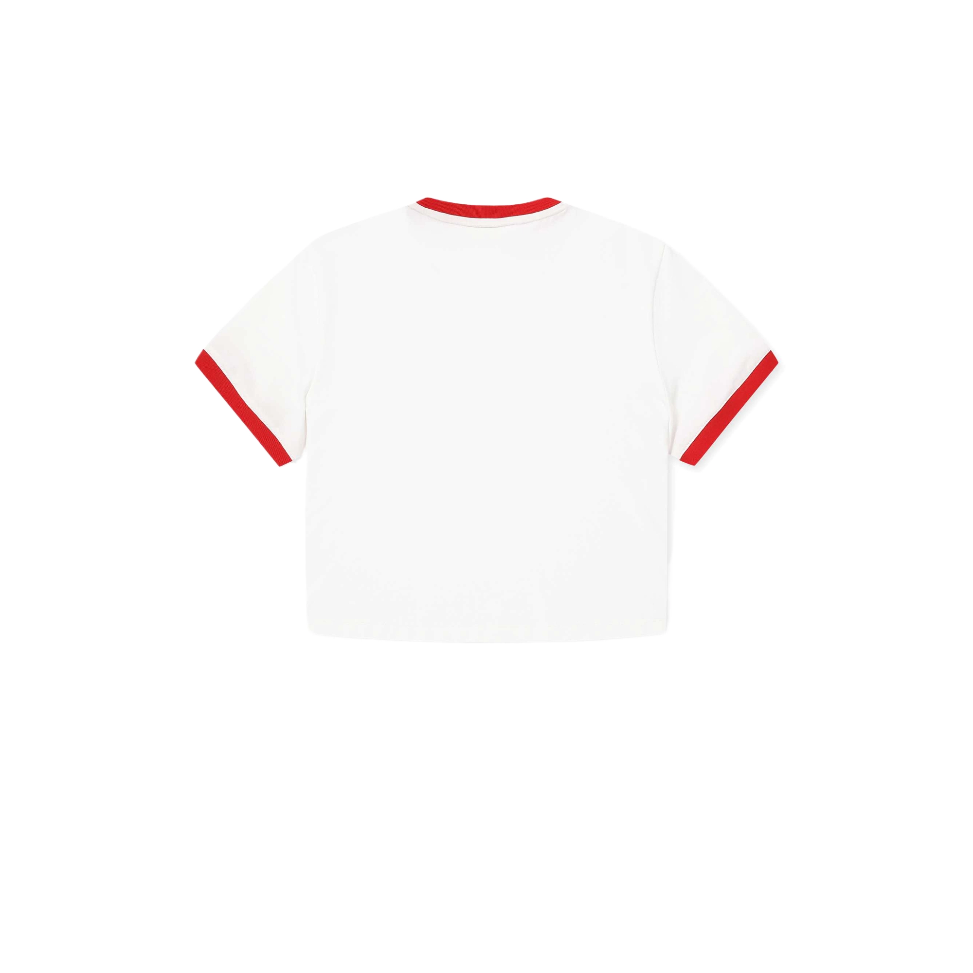 Discovery Expedition T