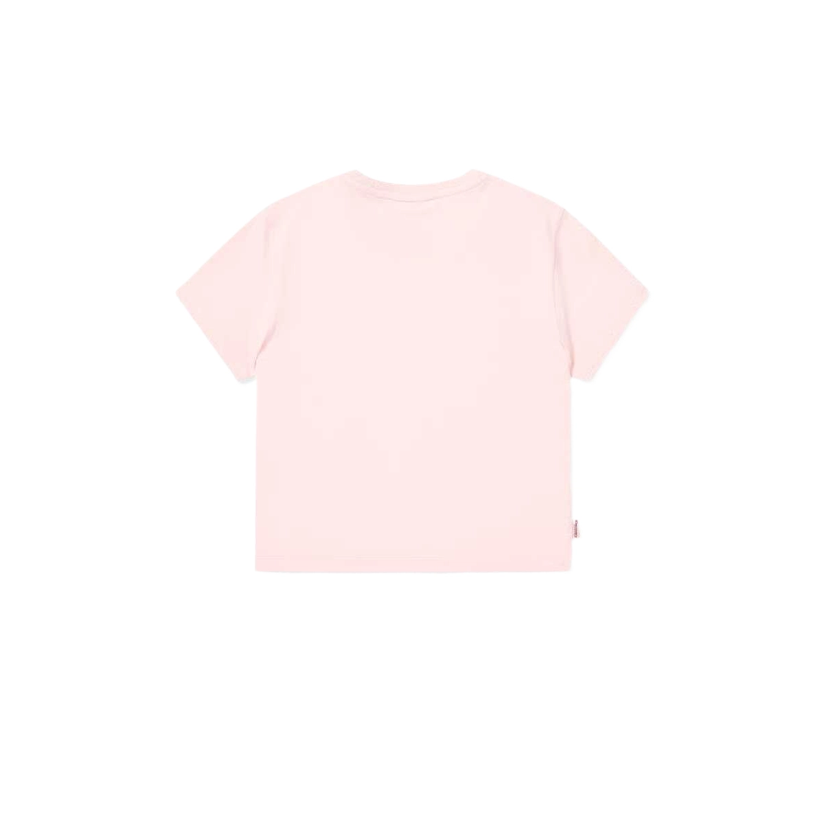 Discovery Expedition T