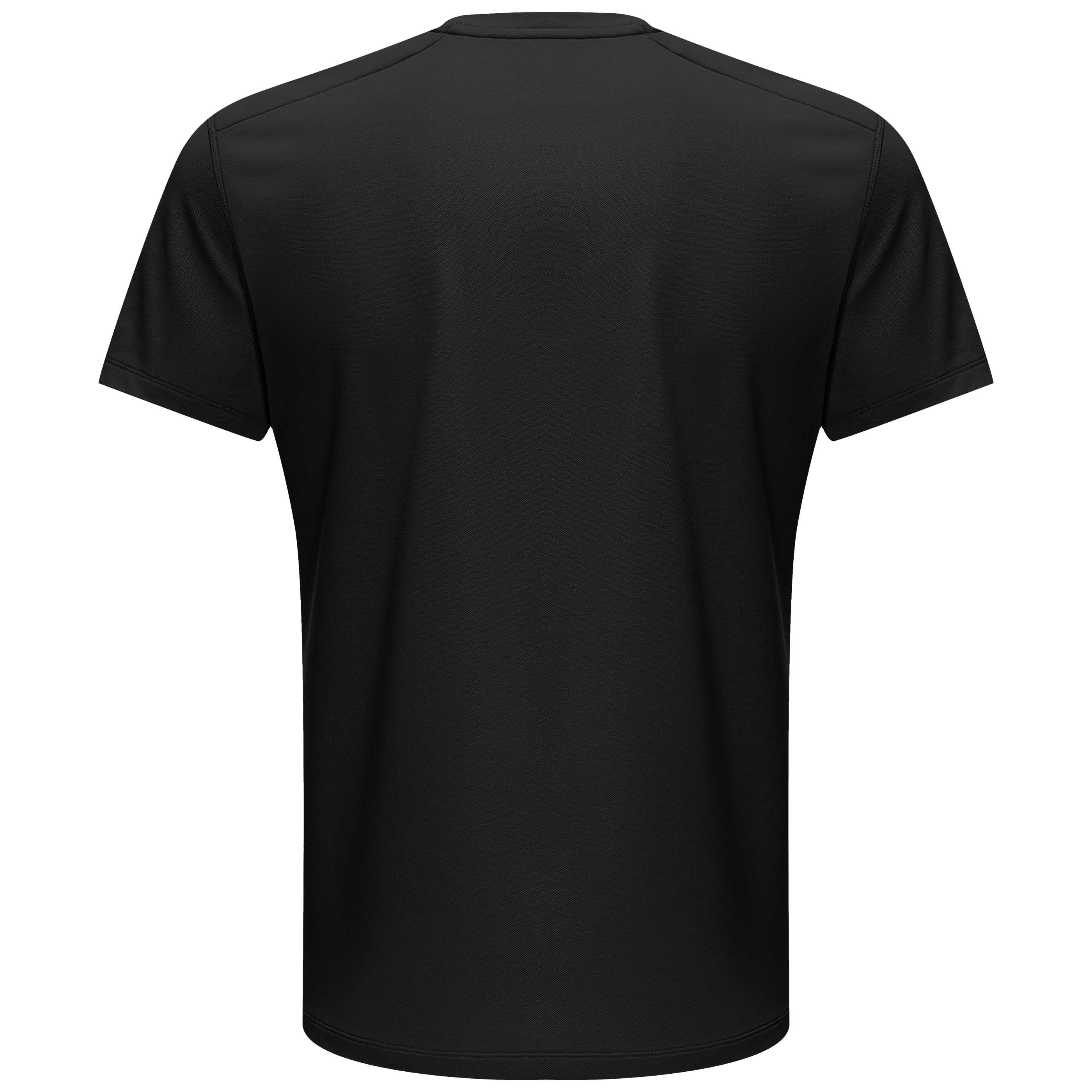 PELLIOT T