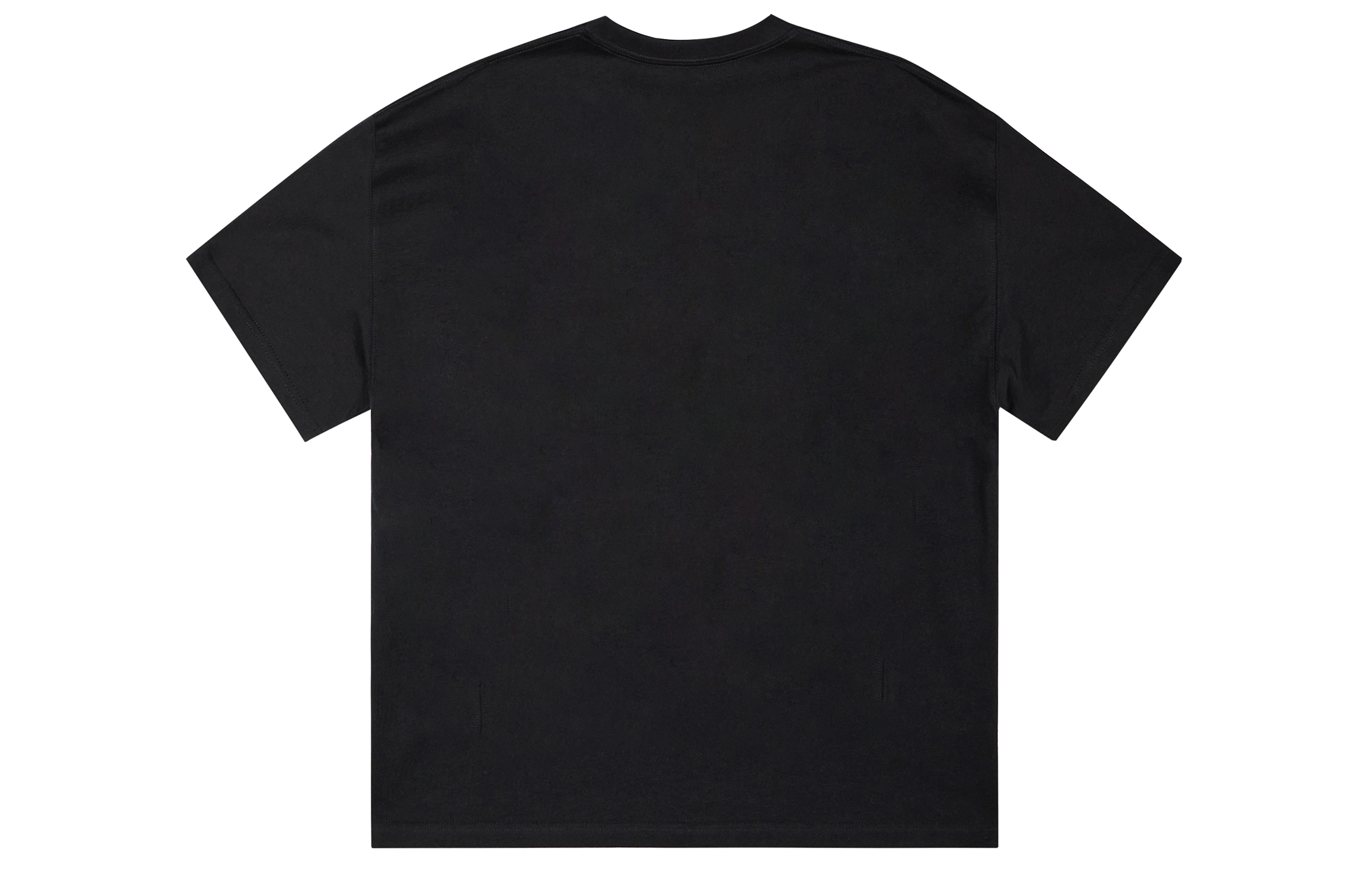 ICONS Lab ICS T