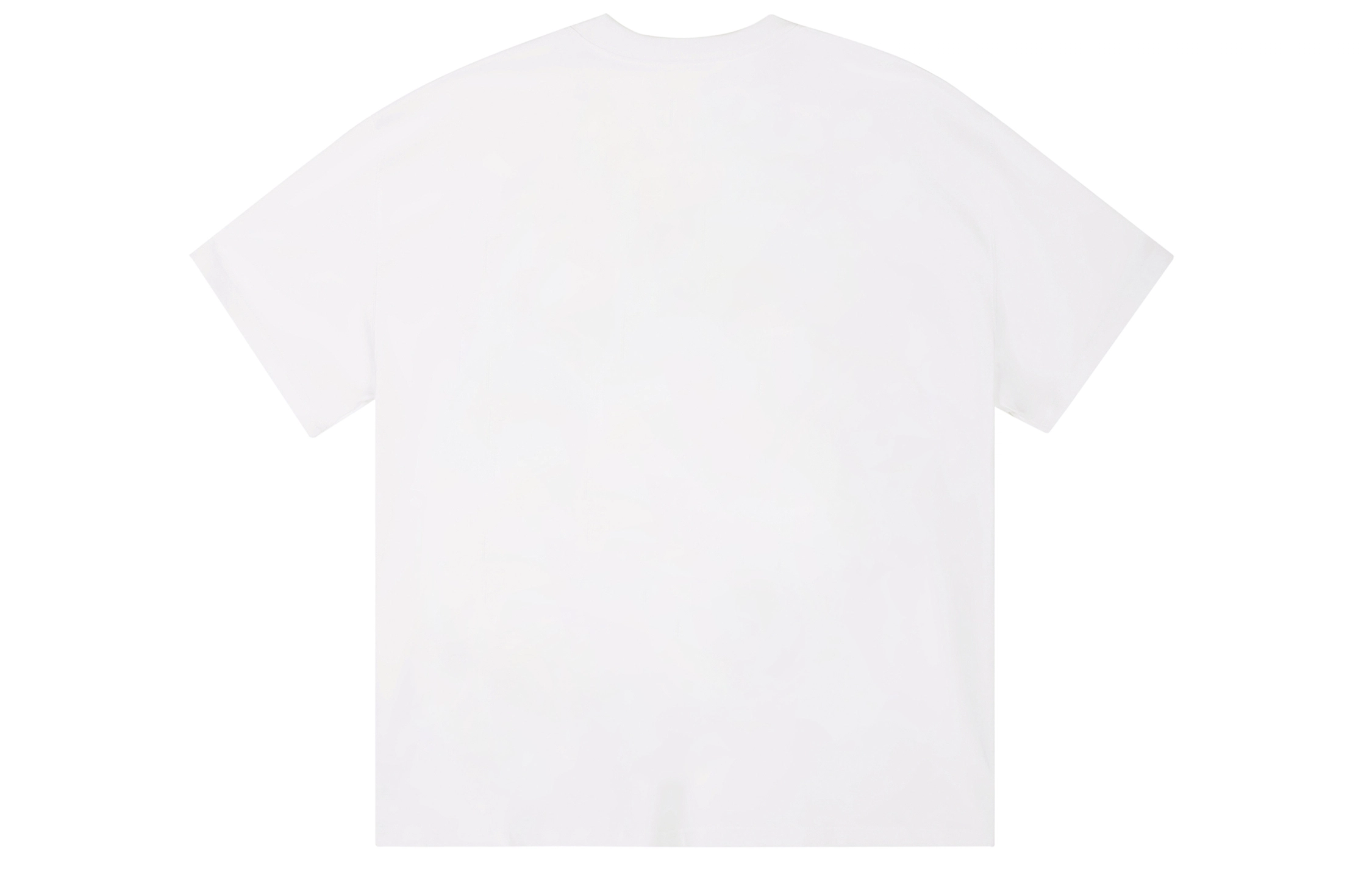 ICONS Lab ICS T