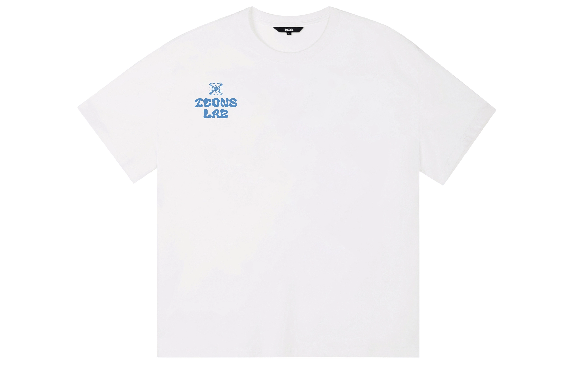 ICONS Lab ICS T