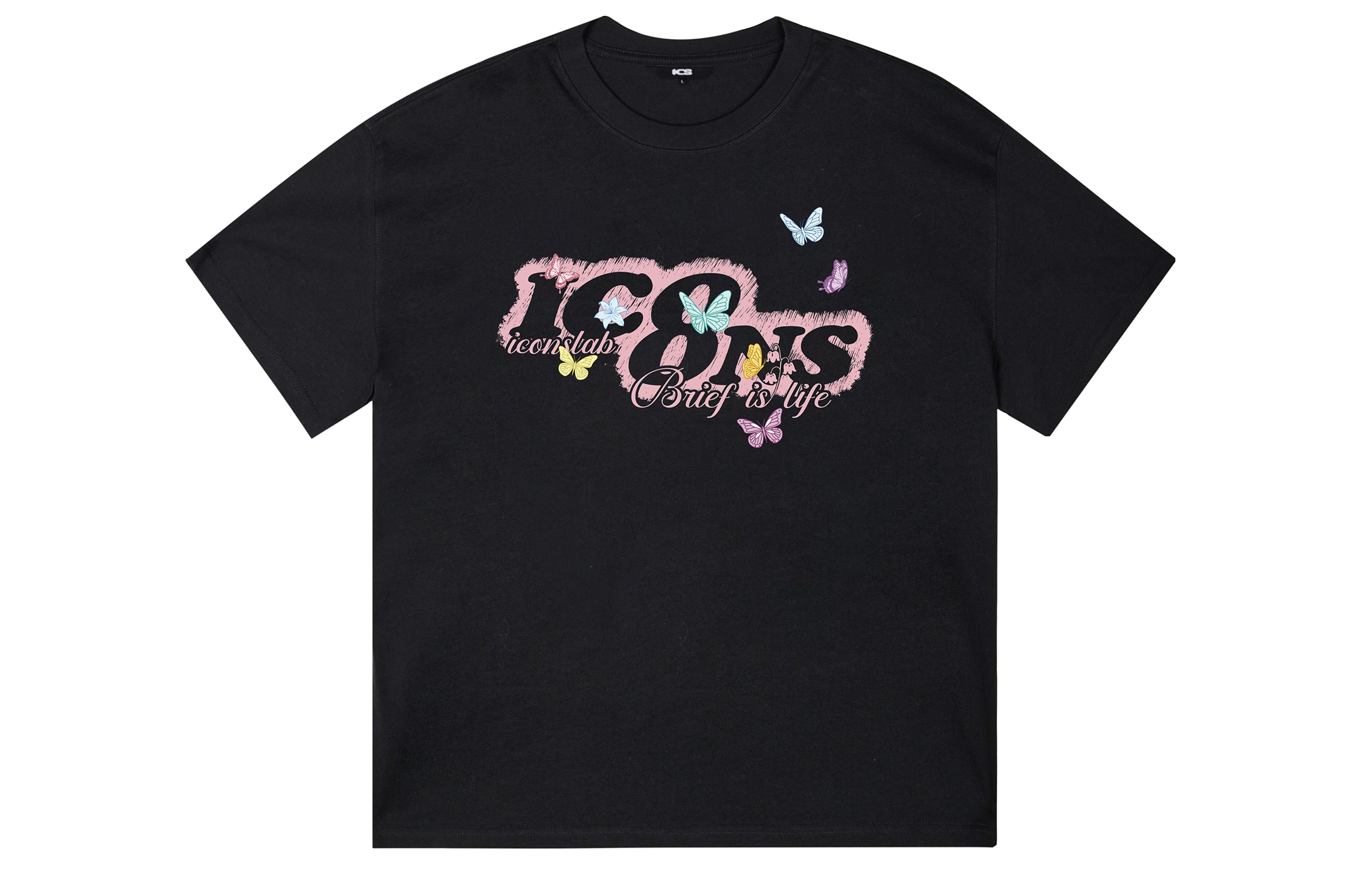 ICONS Lab ICS T