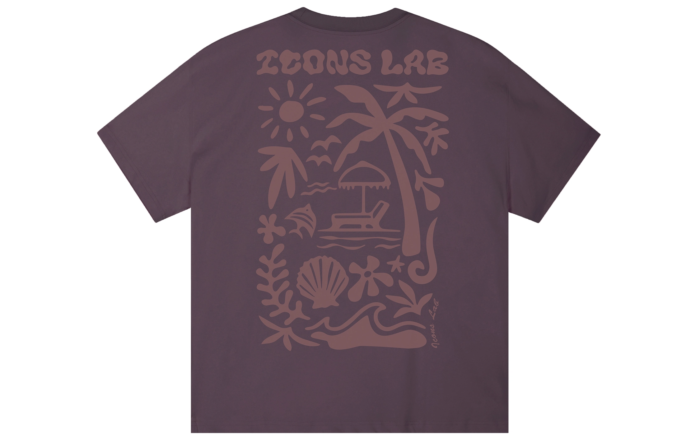 ICONS Lab ICS T