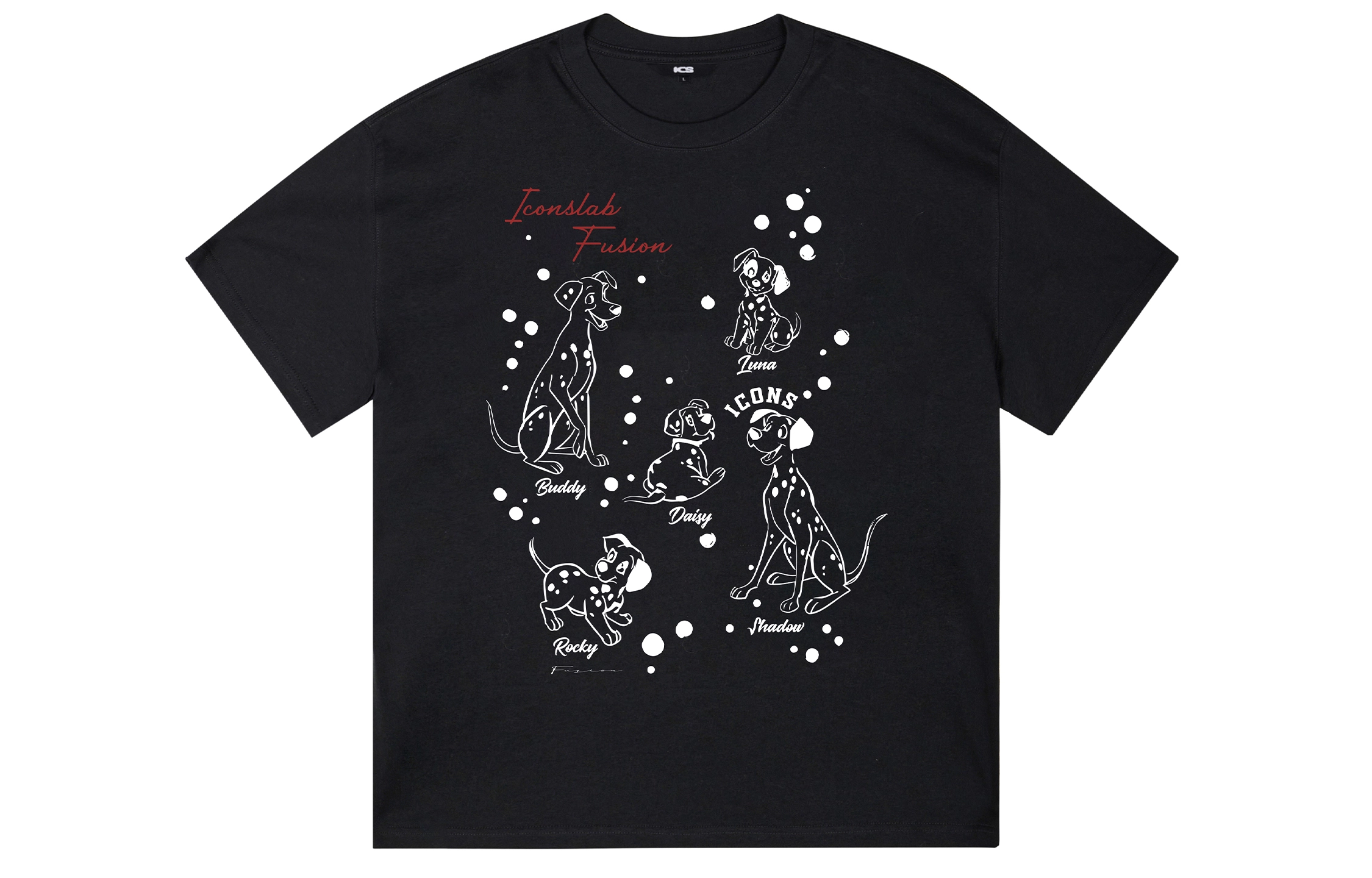 ICONS Lab ICS T