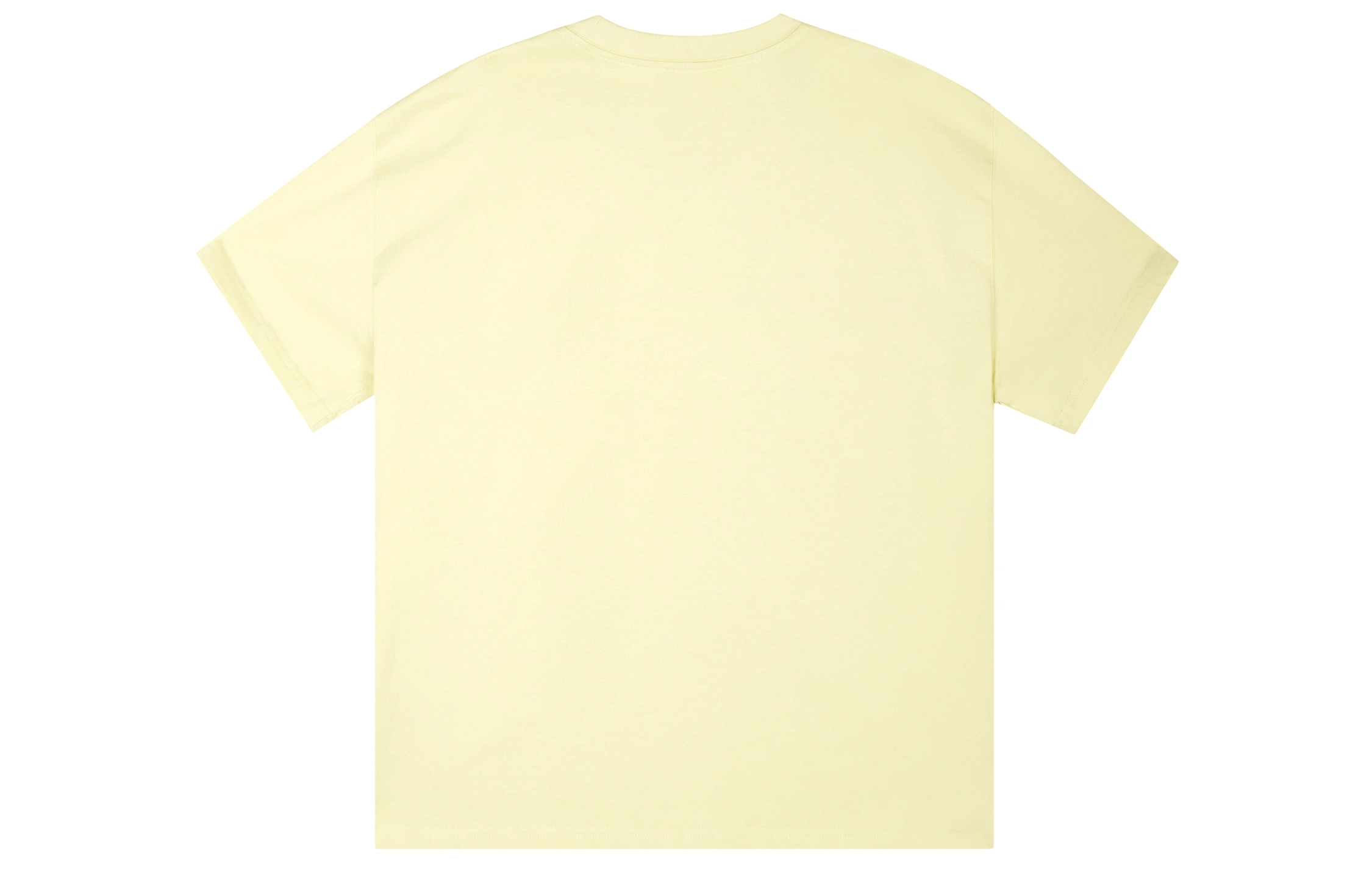 ICONS Lab ICS T