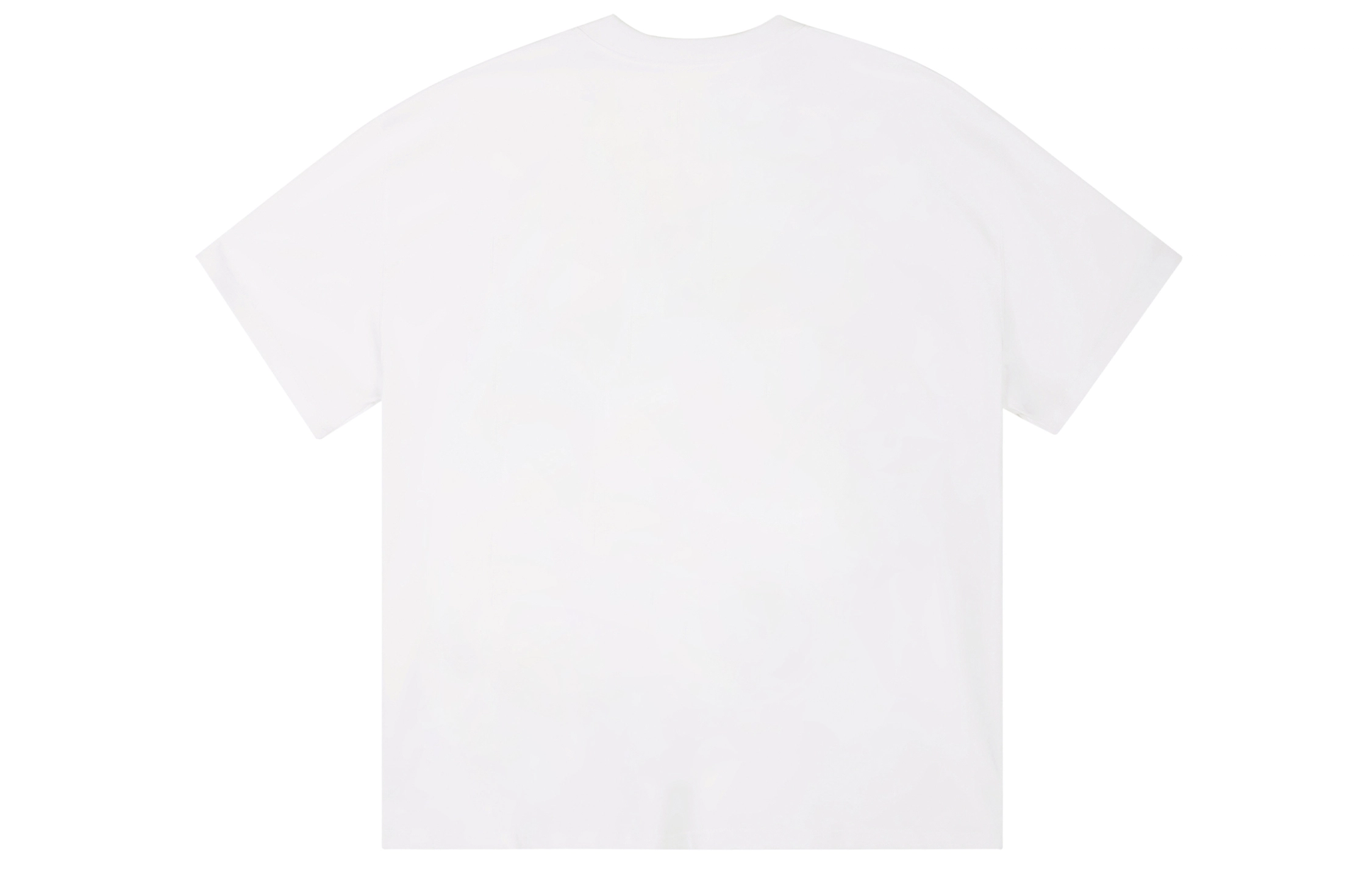 ICONS Lab ICS T